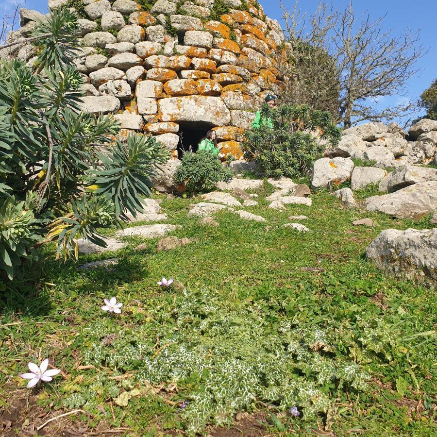 סנטו לוסורג'יו Sardinia Retreat Base Is Your 14Th Century Home With Expert Tips מראה חיצוני תמונה